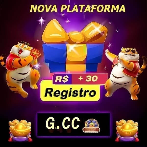556bet cassino 