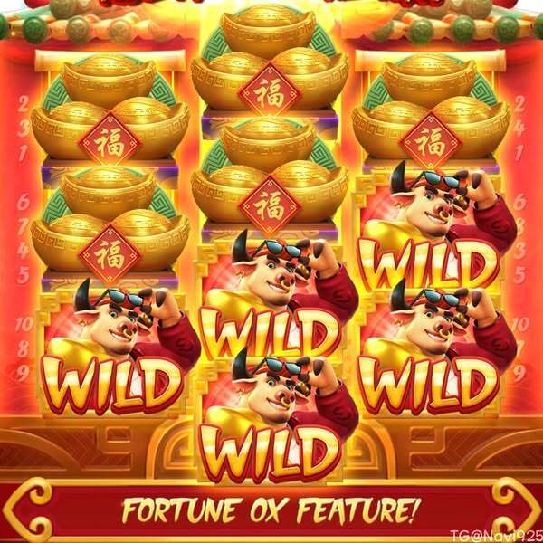 bingo online dinheiro real bingo 