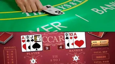 bono casino novibet 