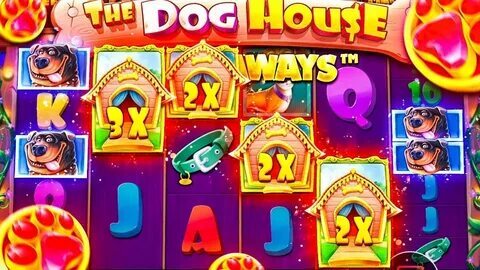 golfinho 777 bet 