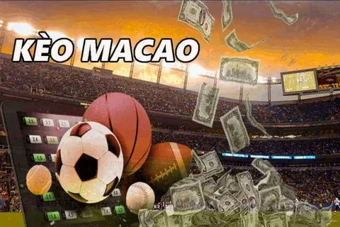 sites de apostas esportivas 2025 